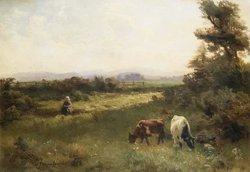 Uma tarde de Verão perto de Blairgowrie