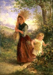Apanhar Trigo