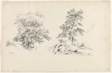 Castanha e pinho, 1869.
