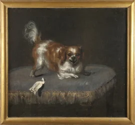 O cão Courtisane