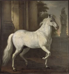 O cavalo favorito de Carlos XI, Brilliant