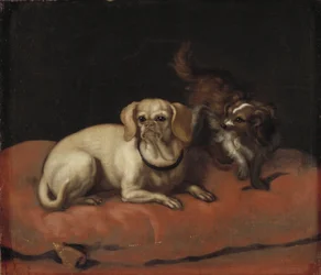 Dois cães