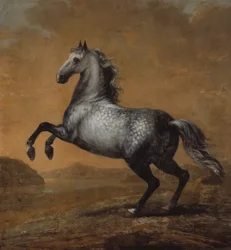 O Pequeno Inglês, O Cavalo do Rei Karl XI (1655-97)