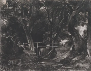 A Dell, Helmingham Park, Suffolk, 1830.