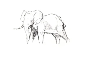 Bull Elephant, 2021 (crayon no papel)