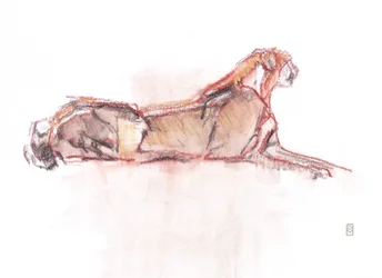 Cheetah alert, 2019 (crayon/watercolour sobre papel)