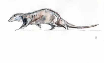 Otter running, 2022 (aquarela/crayon sobre papel)