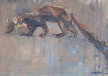 Pine Marten, 2023 (óleo sobre tela)