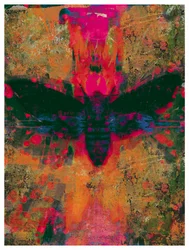 Colagem Traça da Morte, 2016 (Colagem sobre Papel)