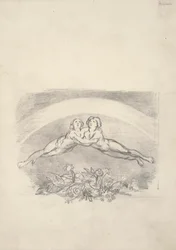 Seis desenhos para Nichol