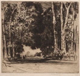 A Avenida