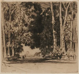 A Avenida