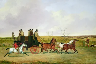 Cavalo e carruagem