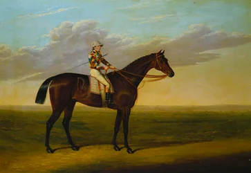 O cavalo de corrida «Rockingham» de Mr Richard Watts Bay, montado por Sam Darling, num hipódromo