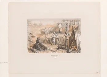 Colheita nos campos, século XIII
Dorpers. (século XIII) (título sobre o objecto)