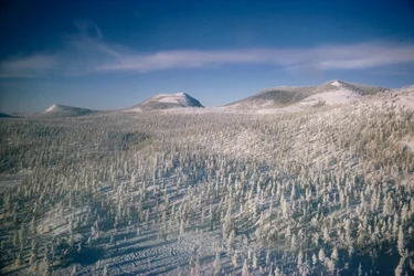 Paisagem de inverno na Sibéria sobre pântanos e florestas cobertas de neve

