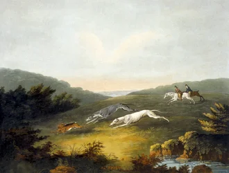 Coursing, placa 2, gravada por R.G. Reeve