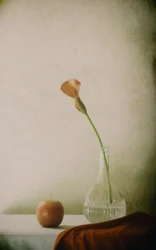 Natureza morta com lírio-calla e maçã