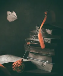 Borboleta «Dark Academia»