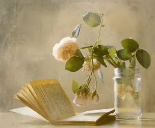 Rosas Desbotadas: Livro Aberto
