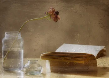 Flor melancólica e livro