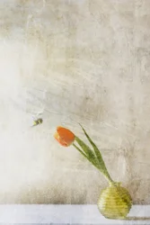 Tulipa e abelha em tecido macio