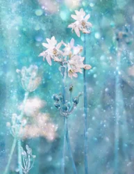 Flores azuis cintilantes