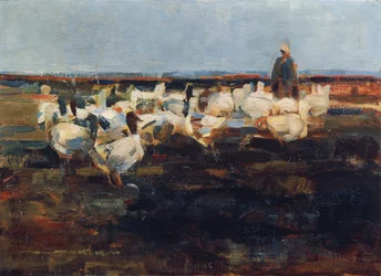 Rebanho de gansos no pasto