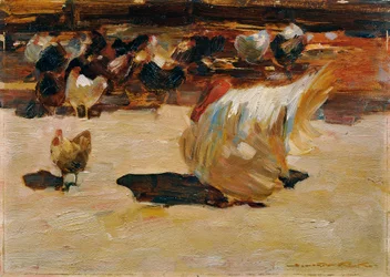 Granja de galinhas