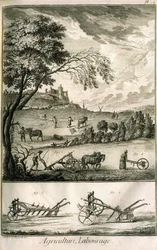Trabalho de campo - Agricultura, semeadura, aração. Vários modelos de rolos e arados: Placa de um volume de ilustrações da Encyclopédie de Diderot, edição original 1762