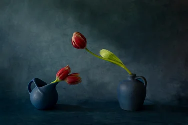 Natureza morta elegante com tulipas