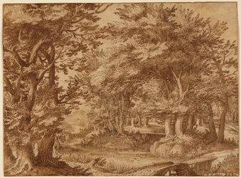 Paisagem florestal com um castelo distante