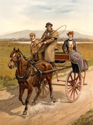 Carro de passeio irlandês, c.1890