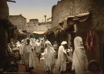 Rua argelino em Sidi Okba, c.1899 (photochrom)