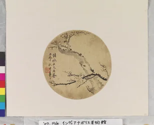 Tinta Plum Blossoms