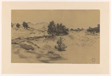 paisagem de dunas