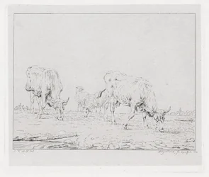 Vacas de pasto