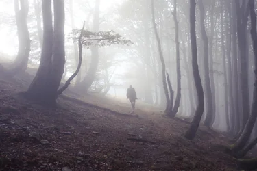 Caminho de Roncesvalles com peregrino, 2016 (fotografia digital)