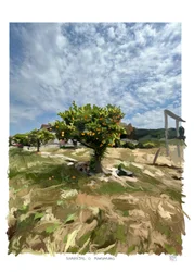 Laranjas ou tangerinas, 2022 (trabalho artístico digital efectuado no iPad)