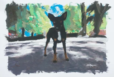 Perro en Chile, 2019 (tinta acrílica sobre fotografia impressa)