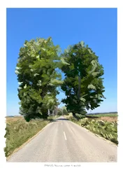 Árvores gémeas a caminho da Golega, 2022 (obra de arte digital feita no iPad)