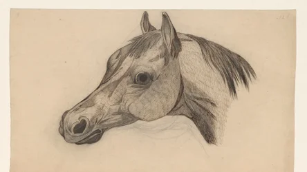 Cabeça de um cavalo, à esquerda