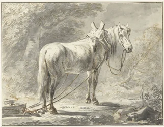 Cavalo em frente de um marreta, à direita