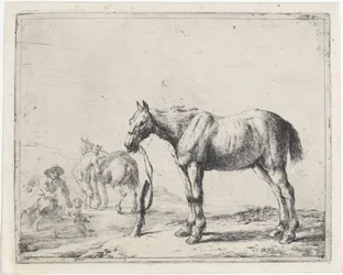 Cavalo amarrado a um poste à esquerda Cavalos (título da série)