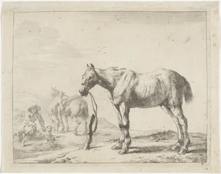 Cavalo amarrado a um poste virado para a esquerda
Cavalos (título da série)