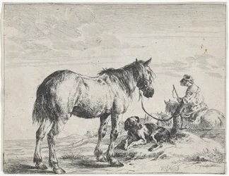 Cavalo amarrado a um poste
Cavalos (título da série)