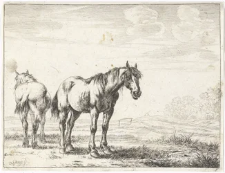 Dois cavalos numa paisagem
Cavalos (título da série)