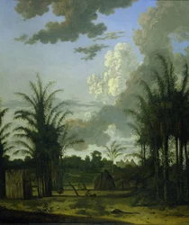 Plantação no Suriname