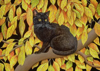 Folhas de outono, 1994