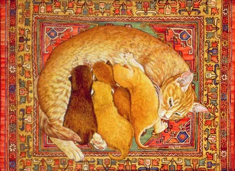 Gatinhos para tapetes